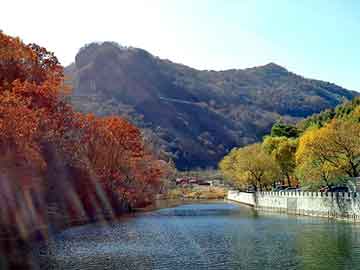 天天彩好彩天天免费，石景山网站建设